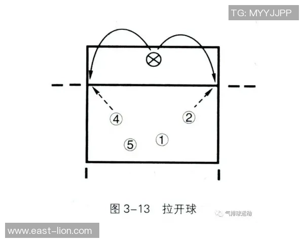 深入分析深圳排球队快攻战术的特点与优势